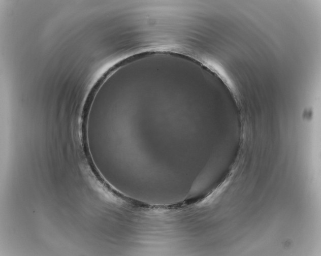 X0000091940932200709121616