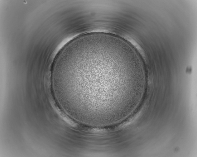 X0000091940933200709121616