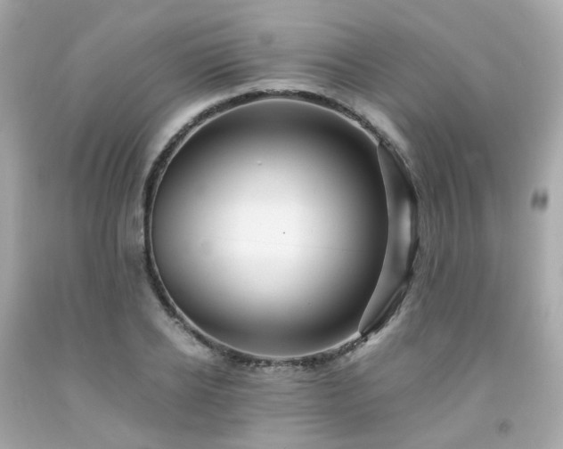 X0000091940934200709121616