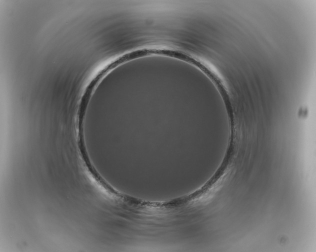 X0000091940935200709121616