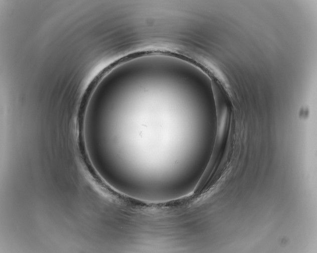 X0000091940936200709121616