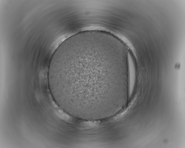 X0000091940937200709121616