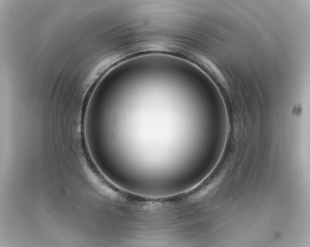 X0000091940938200709121616