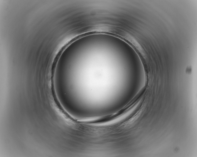 X0000091940939200709121616