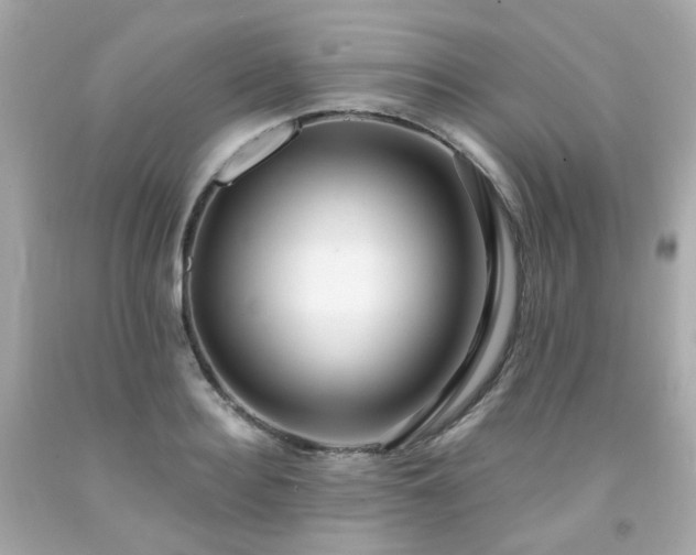 X0000091940940200709121616