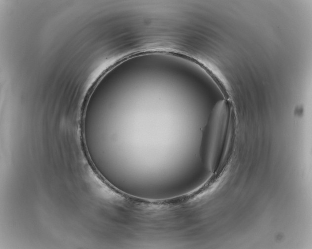 X0000091940941200709121616