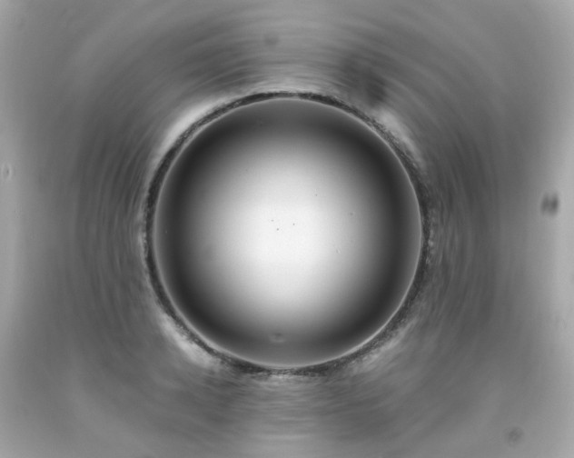 X0000091940942200709121616