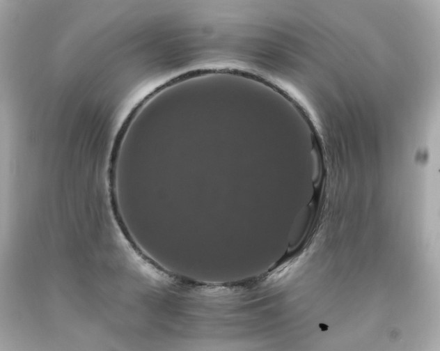 X0000091940943200709121616