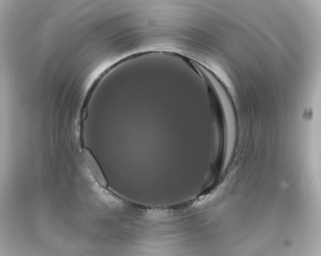 X0000091940944200709121616