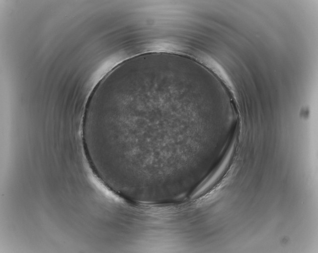 X0000091940946200709121616