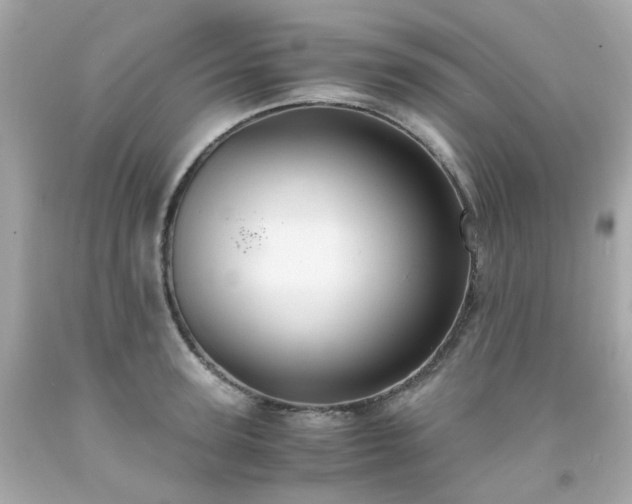 X0000091940947200709121616