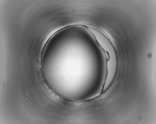 X0000091940948200709121616