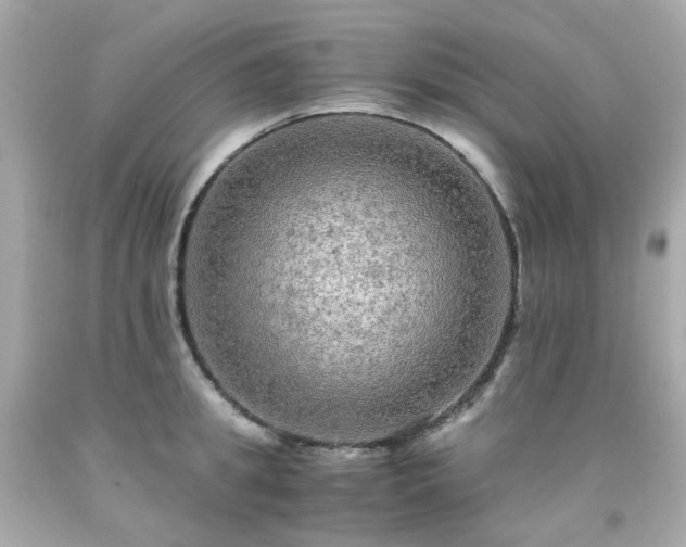 X0000091940949200709121616