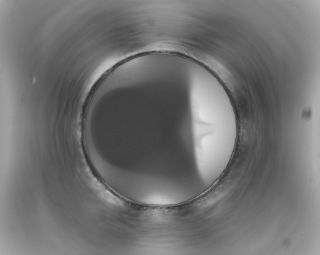 X0000091940950200709121616