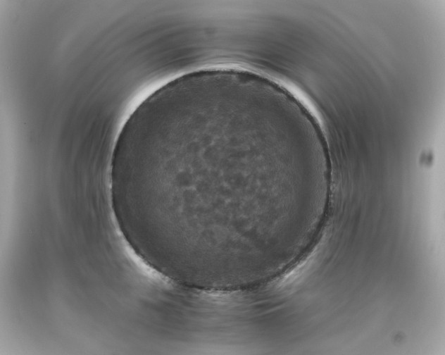 X0000091940951200709121616