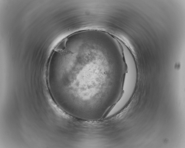 X0000091940952200709121616