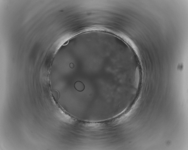 X0000091940953200709121616