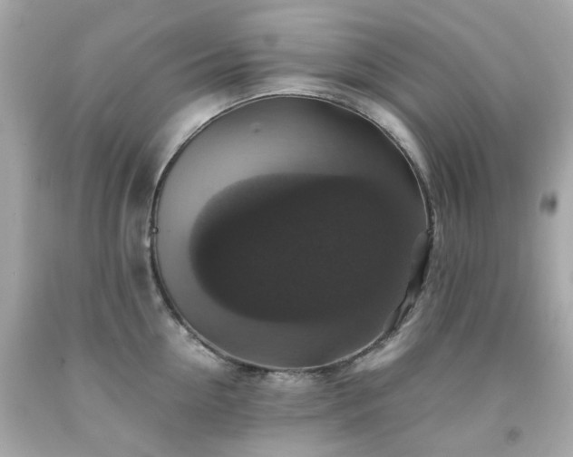 X0000091940954200709121616