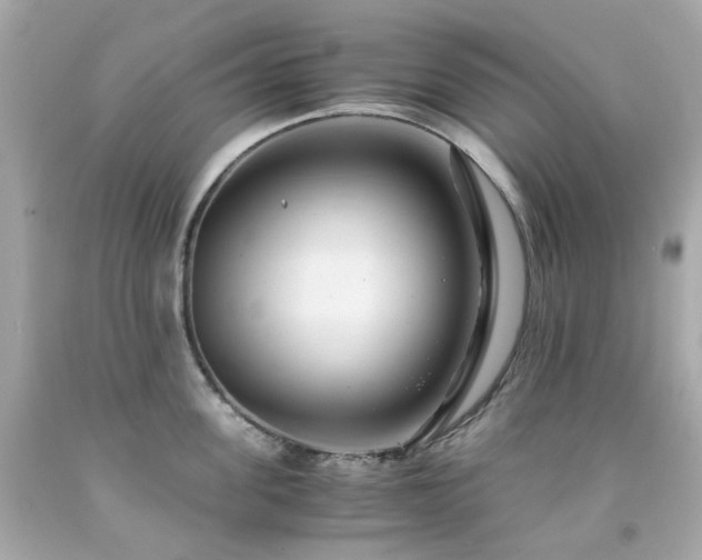 X0000091940955200709121616