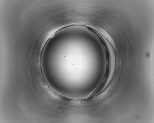 X0000091940956200709121616