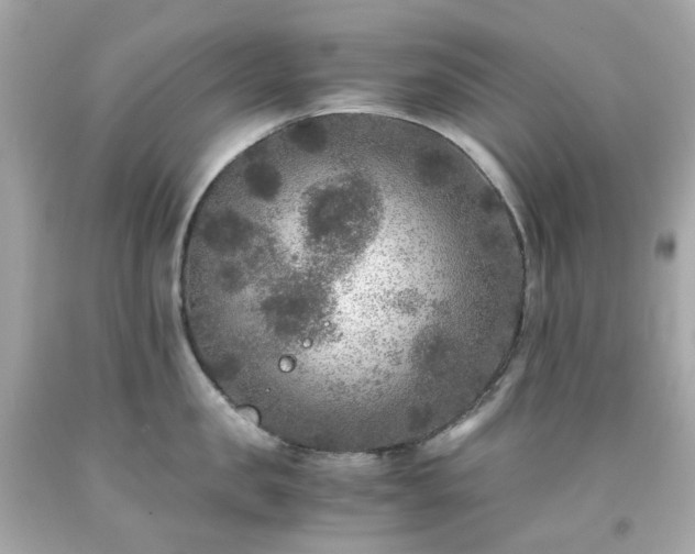 X0000091940957200709121616