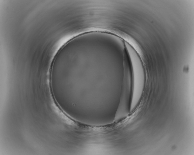 X0000091940958200709121616