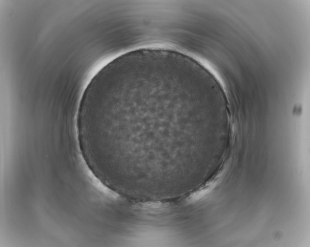 X0000091940959200709121616