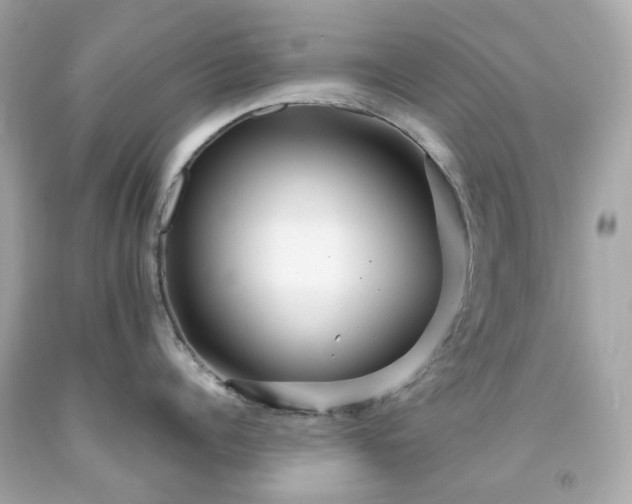 X0000091940960200709121616