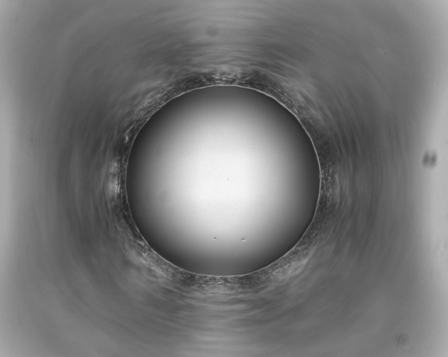 X0000091940962200709121616