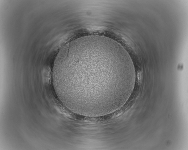 X0000091940963200709121616