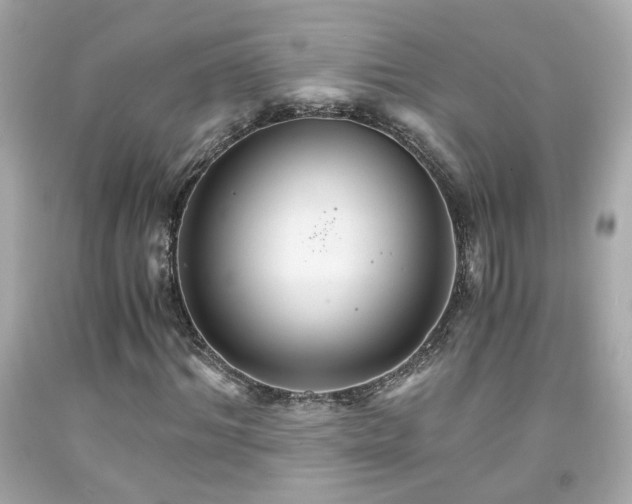 X0000091940964200709121616