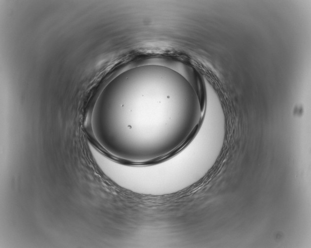 X0000091940965200709121616