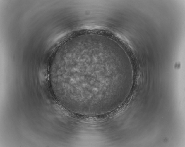 X0000091940966200709121616