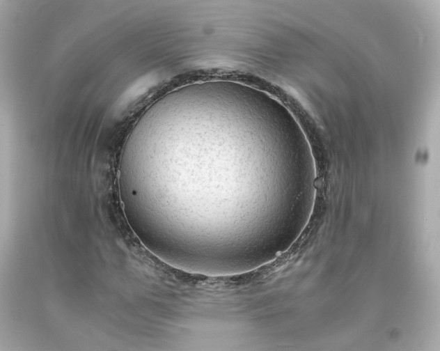 X0000091940967200709121616