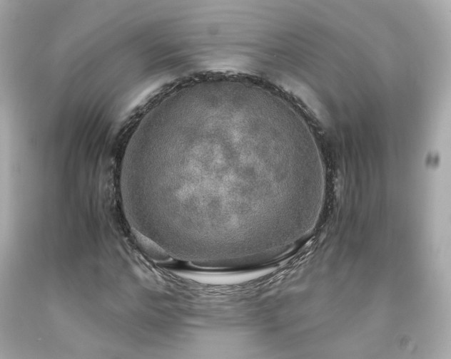 X0000091940968200709121616