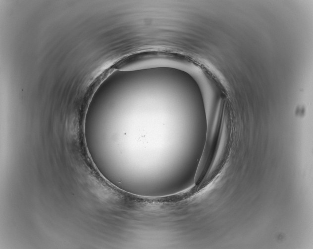 X0000091940969200709121616