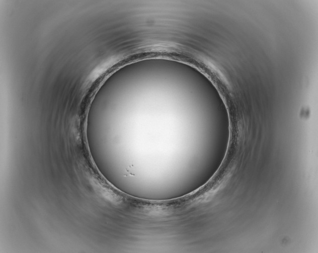 X0000091940970200709121616