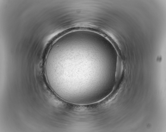 X0000091940971200709121616