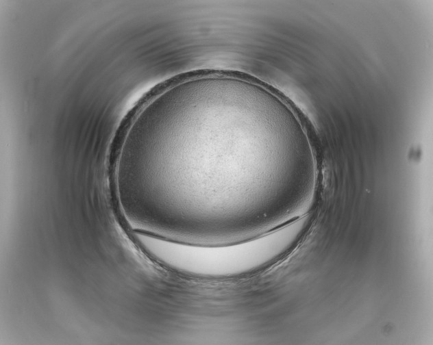 X0000091940972200709121616