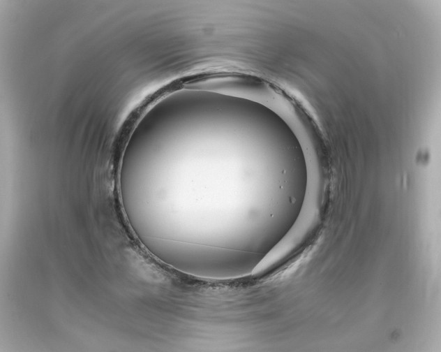 X0000091940973200709121616