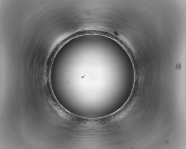 X0000091940974200709121616