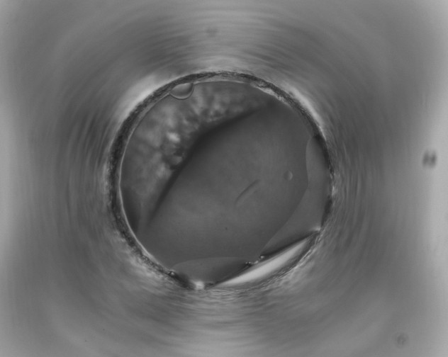 X0000091940975200709121616