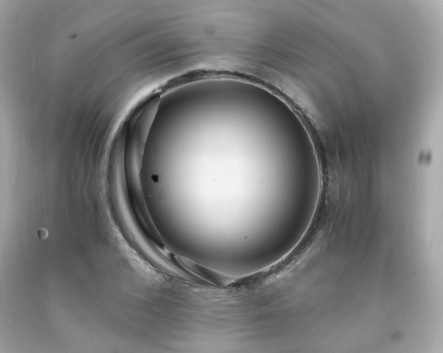 X0000091940976200709121616