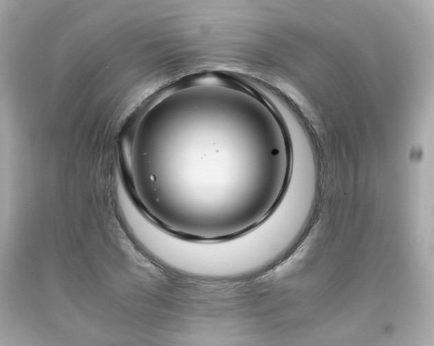 X0000091940977200709121615