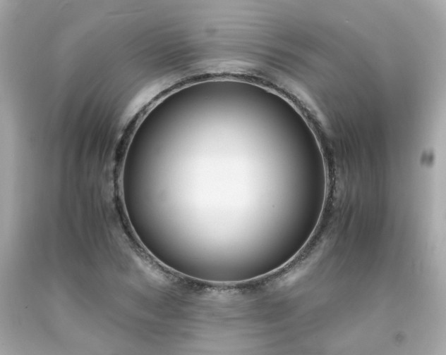 X0000091940978200709121615