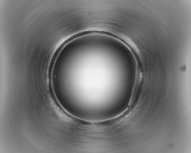 X0000091940980200709121615