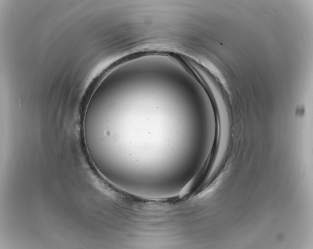 X0000091940981200709121615