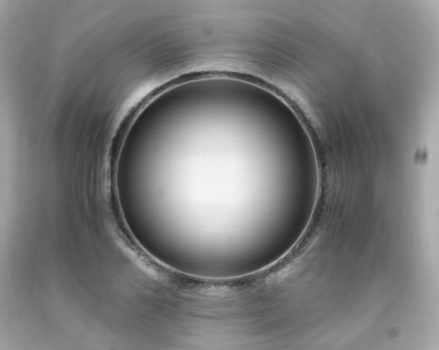 X0000091940982200709121615