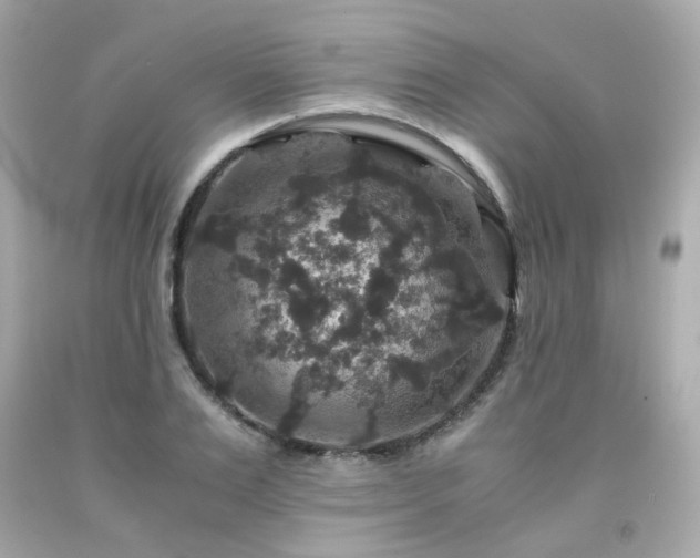 X0000091940983200709121615