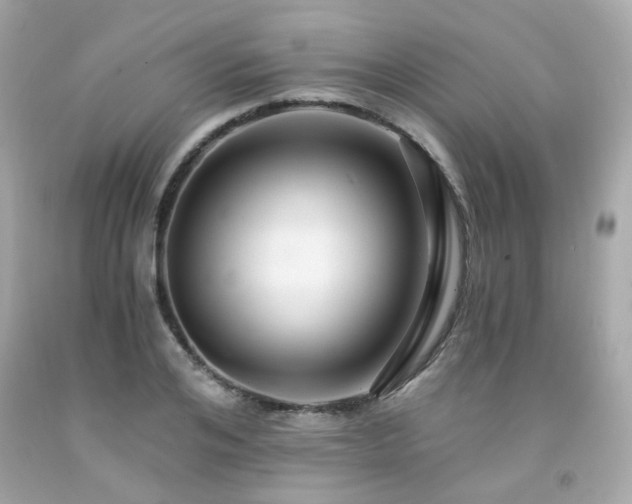 X0000091940984200709121615